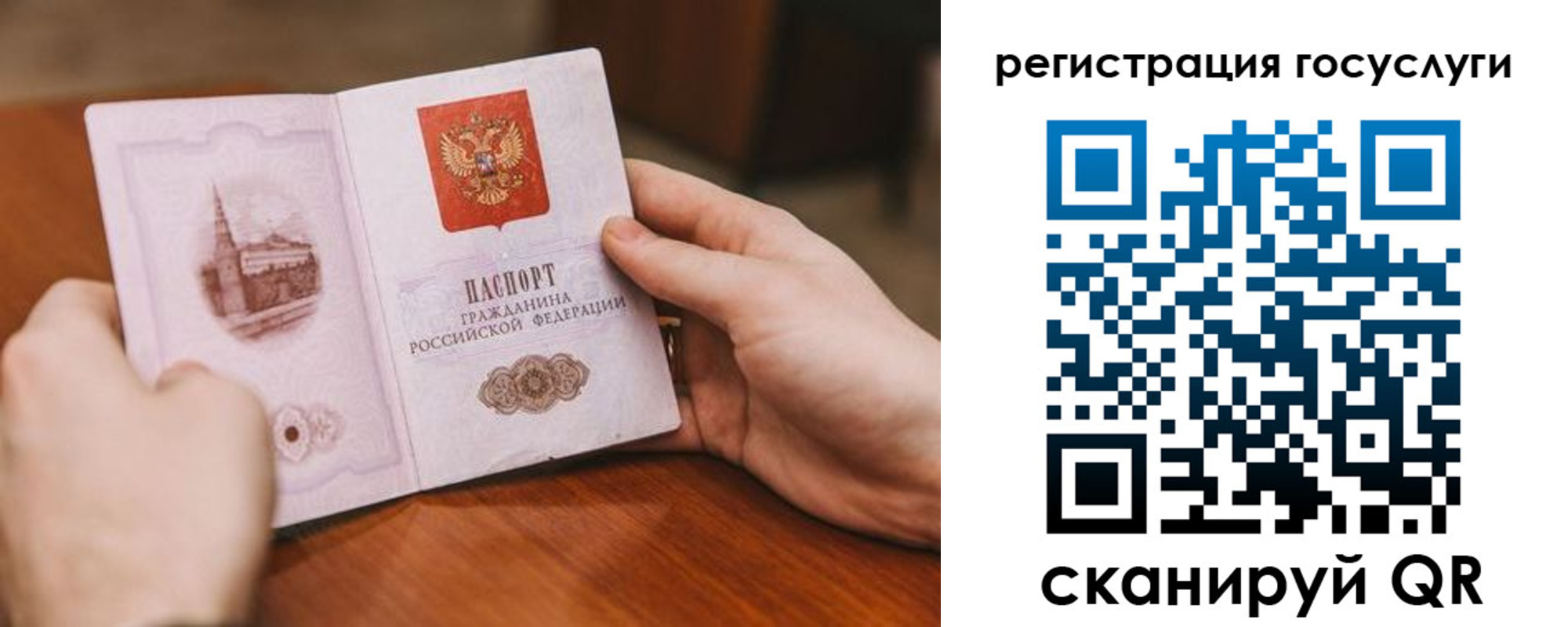 прописка поиск в Курчатове